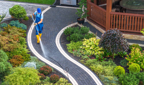 Best Fence Pressure Washing  in Alto, TX